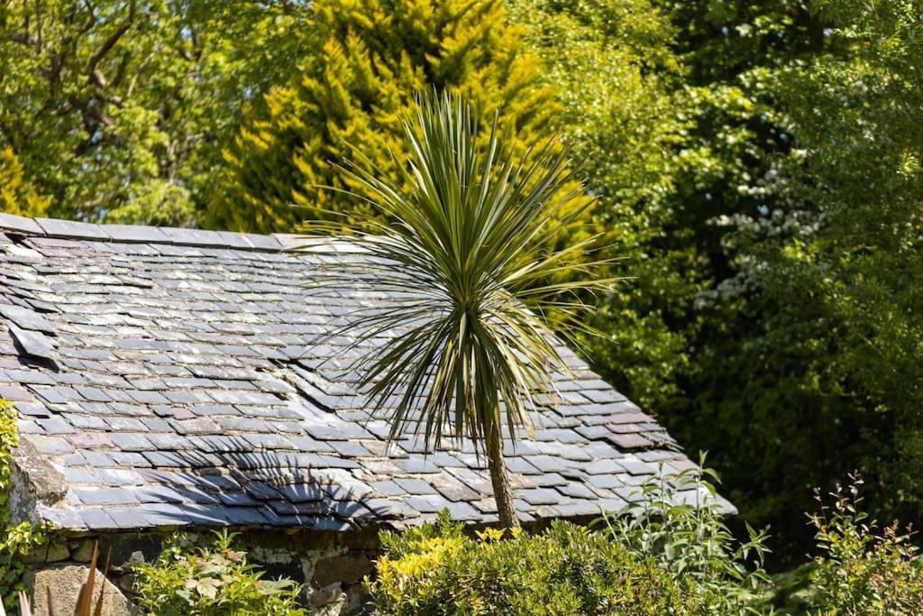 Willa Plas Newydd With Swimming Pool, Fire Pit, And Log Fires Rhiw Zewnętrze zdjęcie